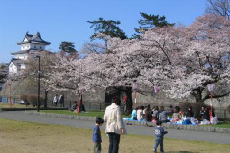 新発田城址公園