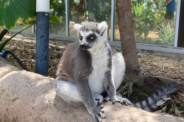 神戸動物公園